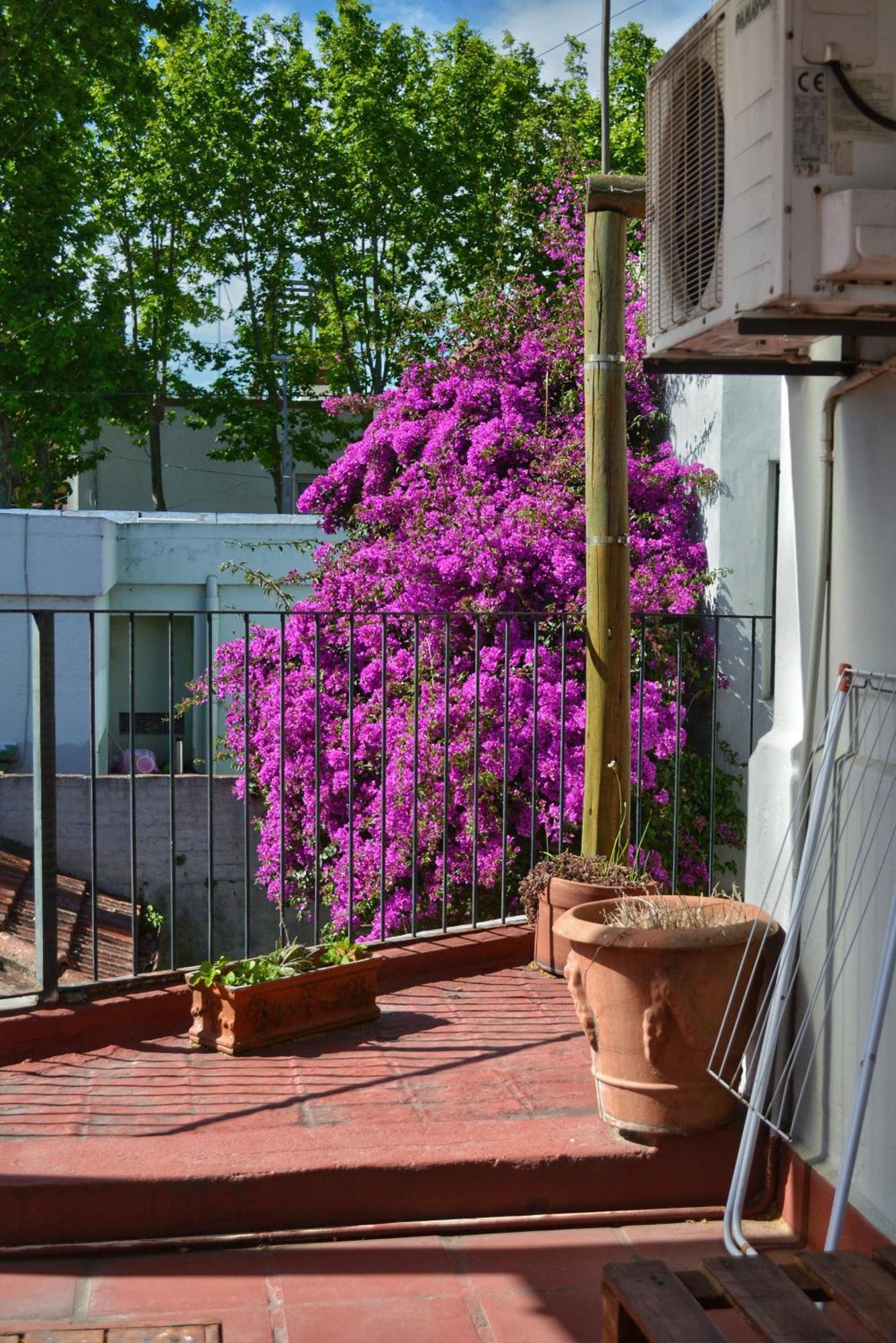 Posada Santa Rita Colonia del Sacramento Zewnętrze zdjęcie